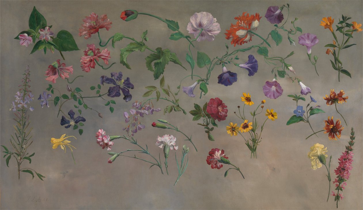 Studies van Bloemen door Jacques Laurent Agasse