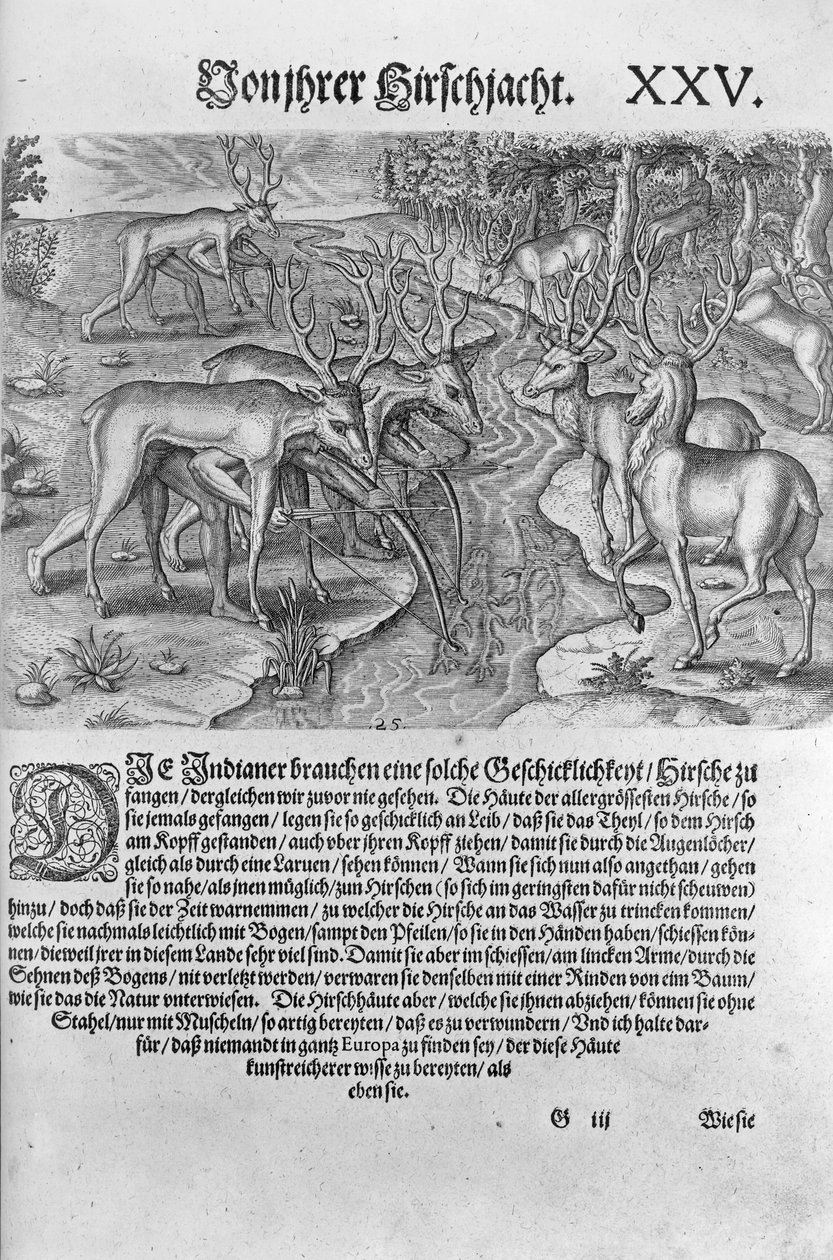 Florida Indianen jagen op herten vermomd onder hertenhuiden, uit 