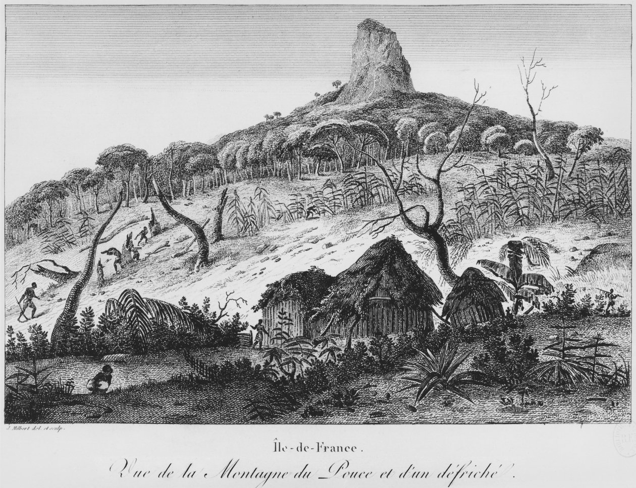 Uitzicht op de Pouce-berg en boskap, Mauritius, illustratie uit 