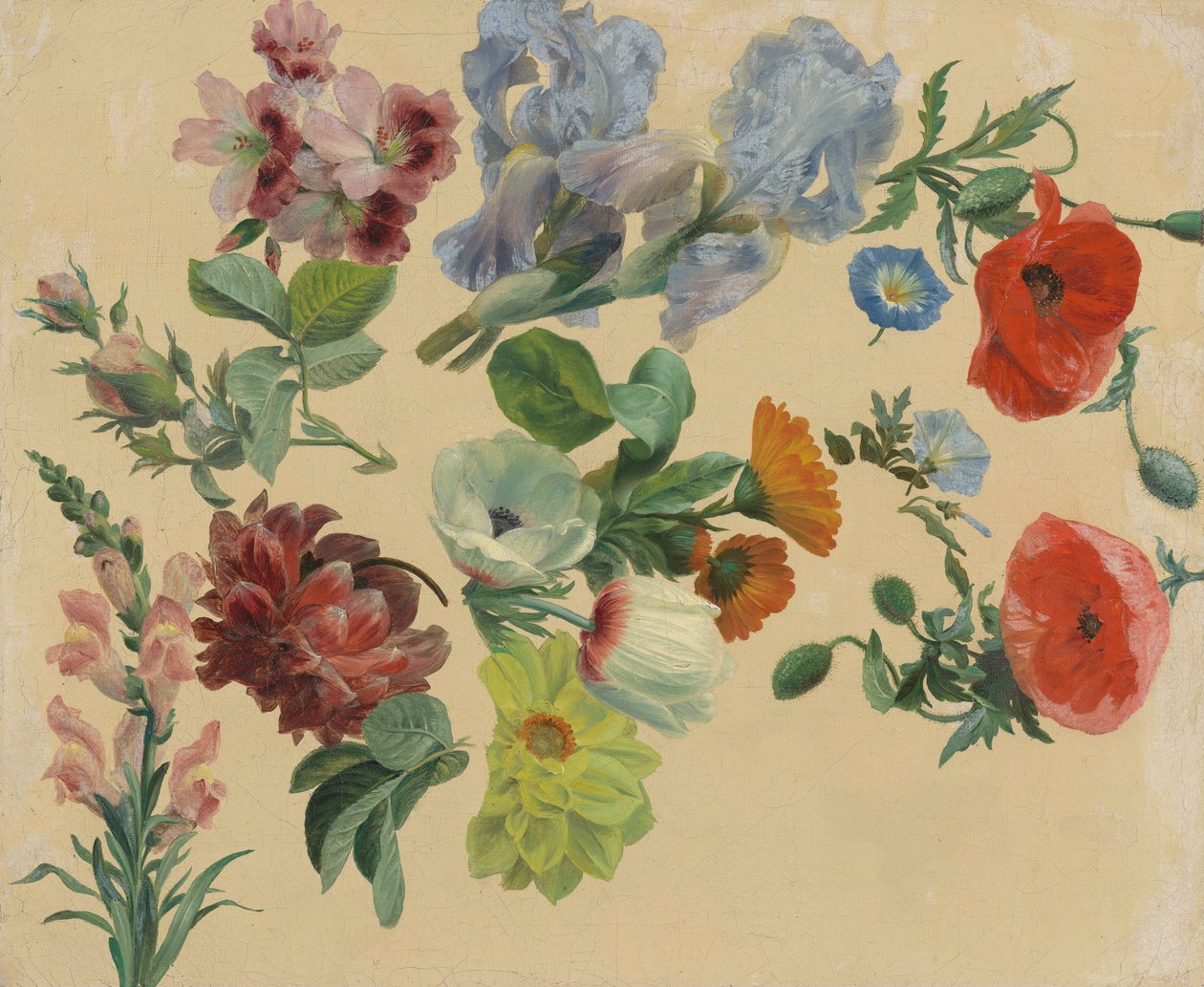 Studies naar zomerbloemen door Jacques-Laurent Agasse