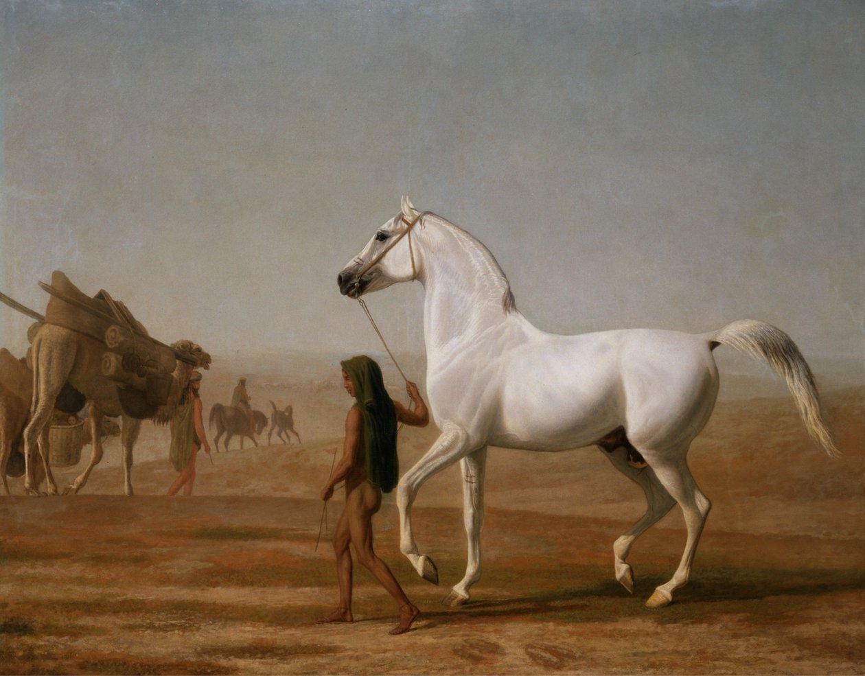 De Wellesley Grijze Arabier door de woestijn geleid door Jacques-Laurent Agasse