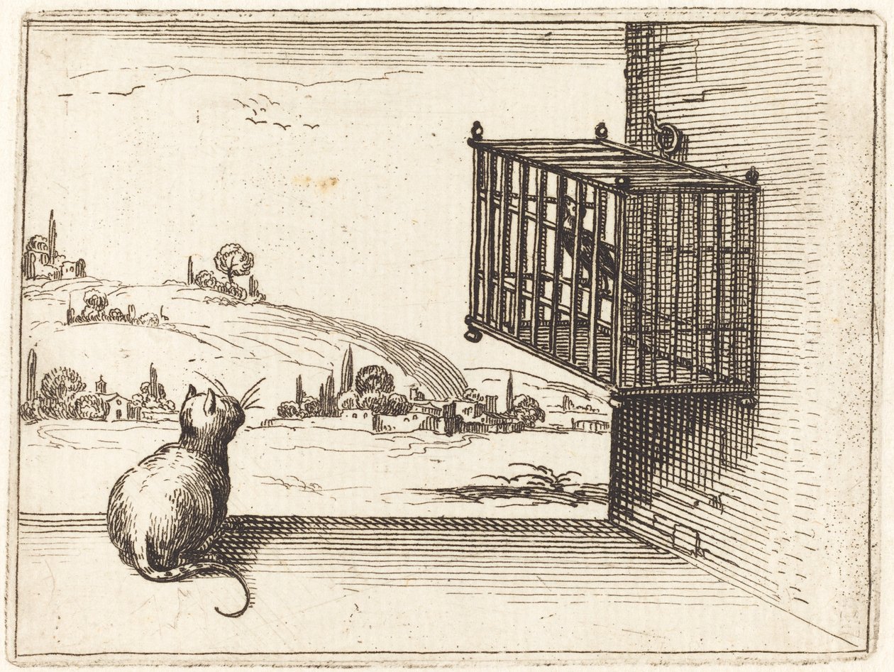 Kat die naar een Vogel in een Kooi Kijkt door Jacques Callot