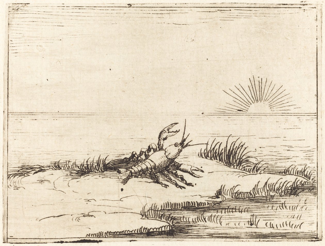 Kreeft kijkt naar de zon door Jacques Callot