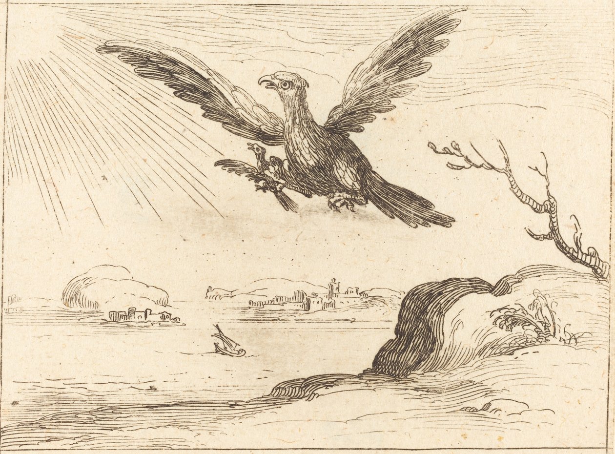 Adelaar en Jong door Jacques Callot