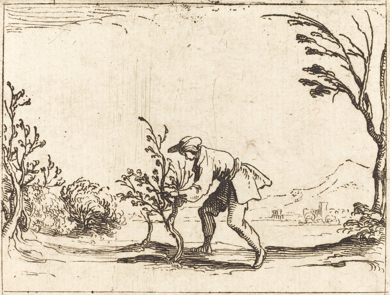 Man die een balsemboom snijdt door Jacques Callot