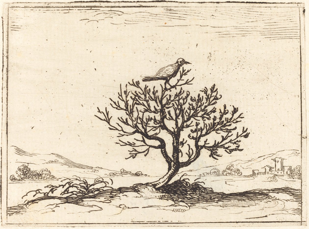 Nachtegaal in een Struik, 1628 door Jacques Callot