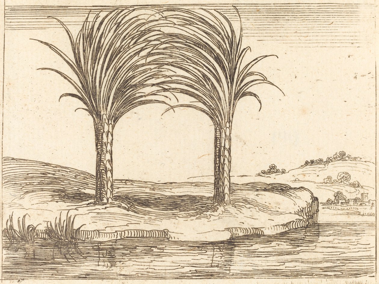 Twee Palmbomen door Jacques Callot