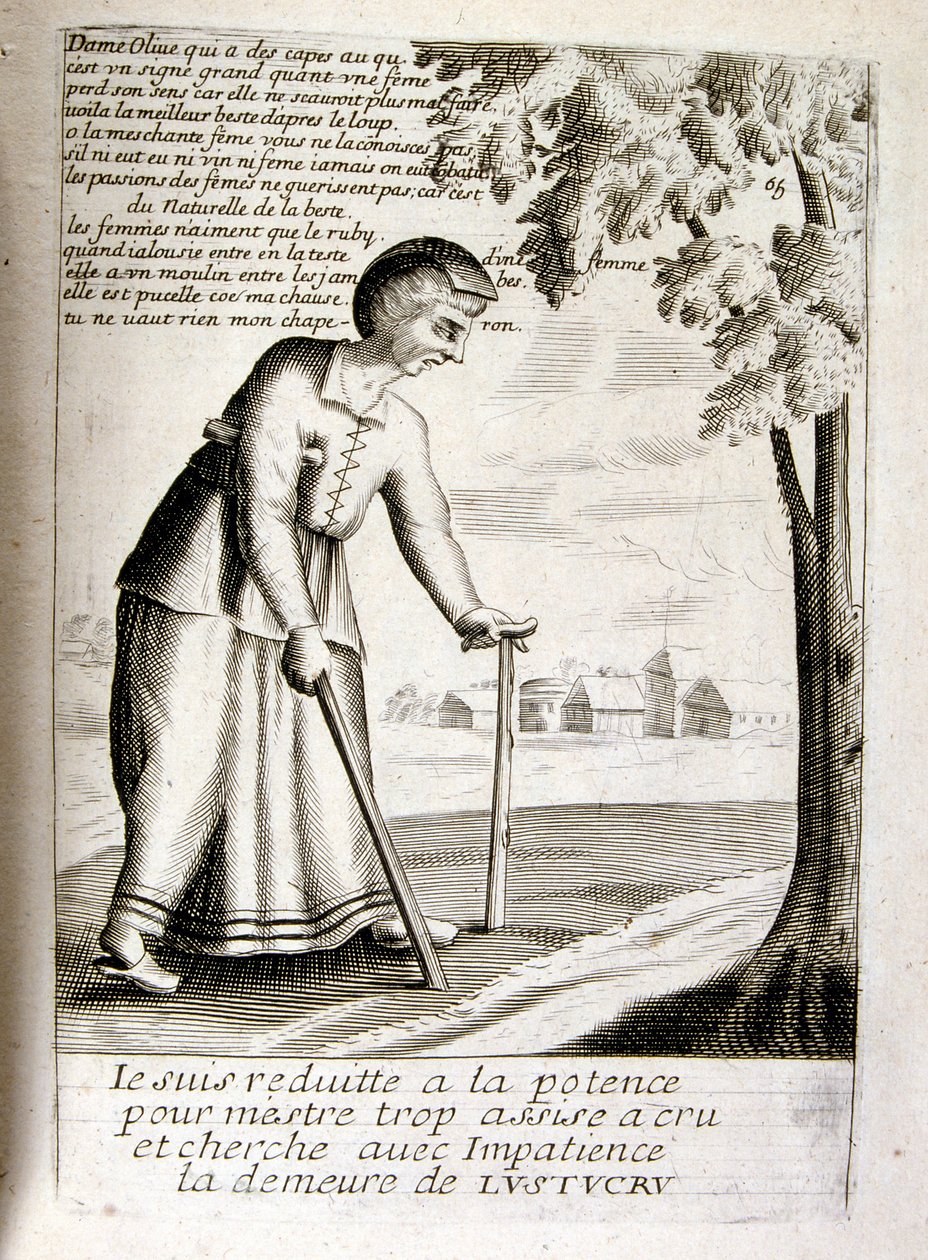  door Jacques Lagniet