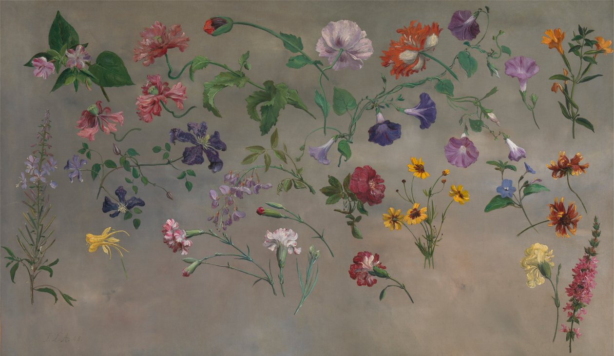 Studies van Bloemen [1985, Cormack, YCBA Beknopte Catalogus] door Jacques Laurent Agasse