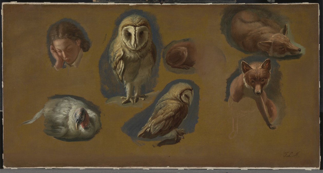 Studies van een Vos, een Kerkuil, een Pauwhen en een Jongemanshoofd door Jacques Laurent Agasse
