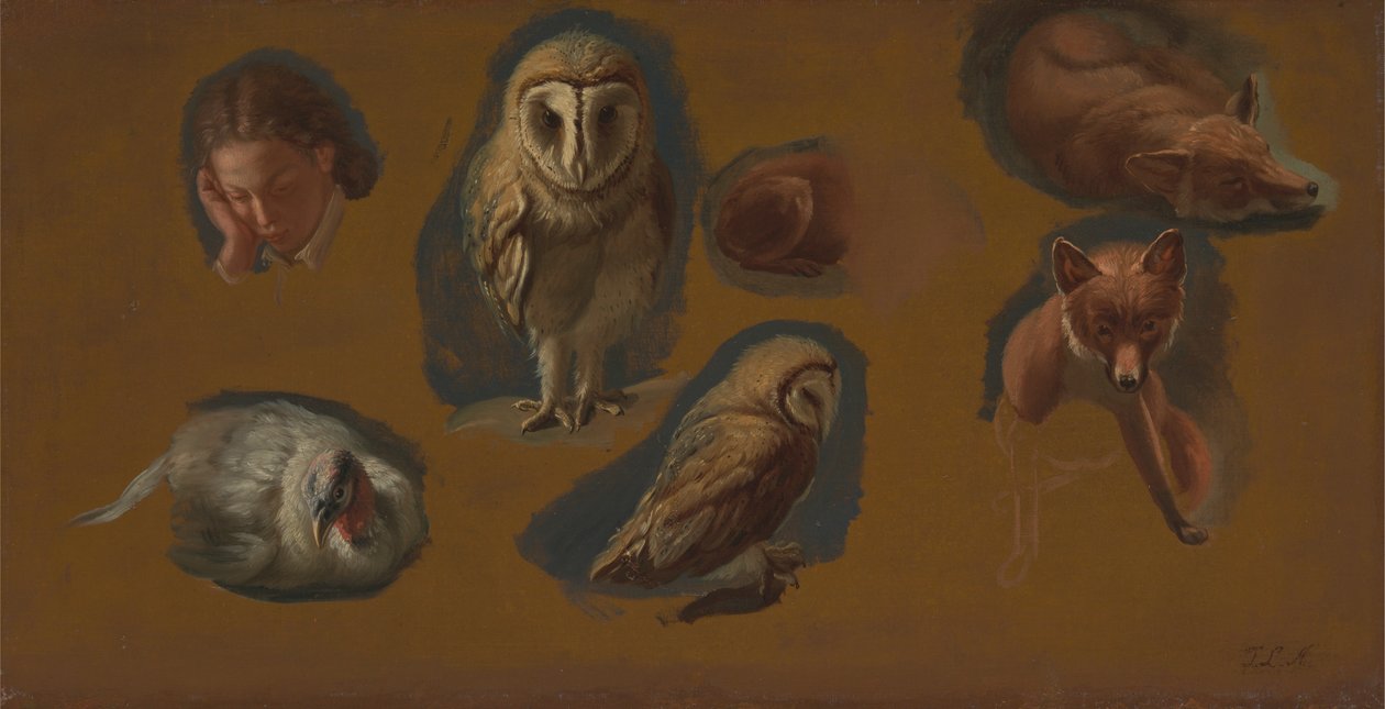 Studies van een vos, een kerkuil, een pauwhen en het hoofd van een jonge man door Jacques Laurent Agasse