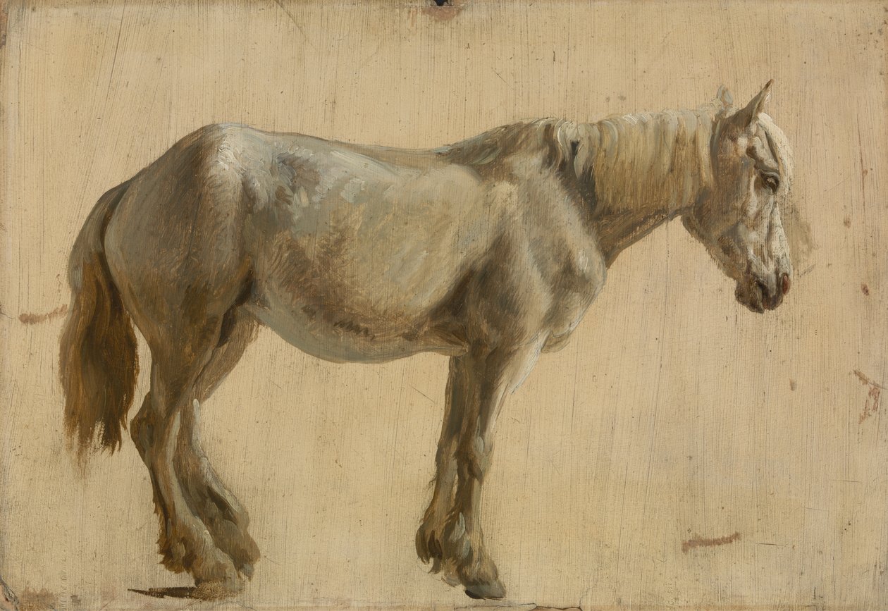Studie van een grijs paard door Jacques Laurent Agasse