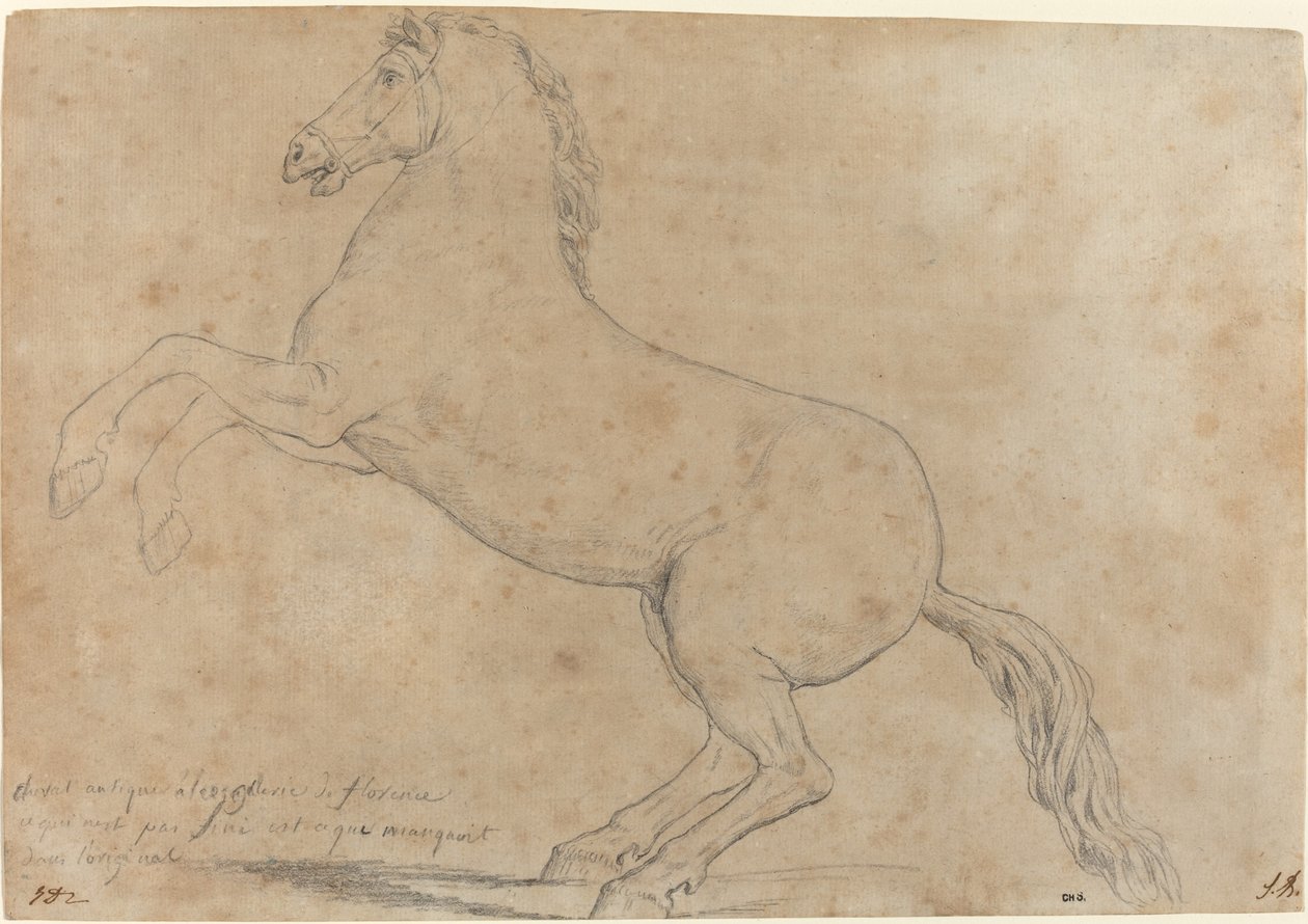 Een Antiek Beeld van een Paard door Jacques Louis David