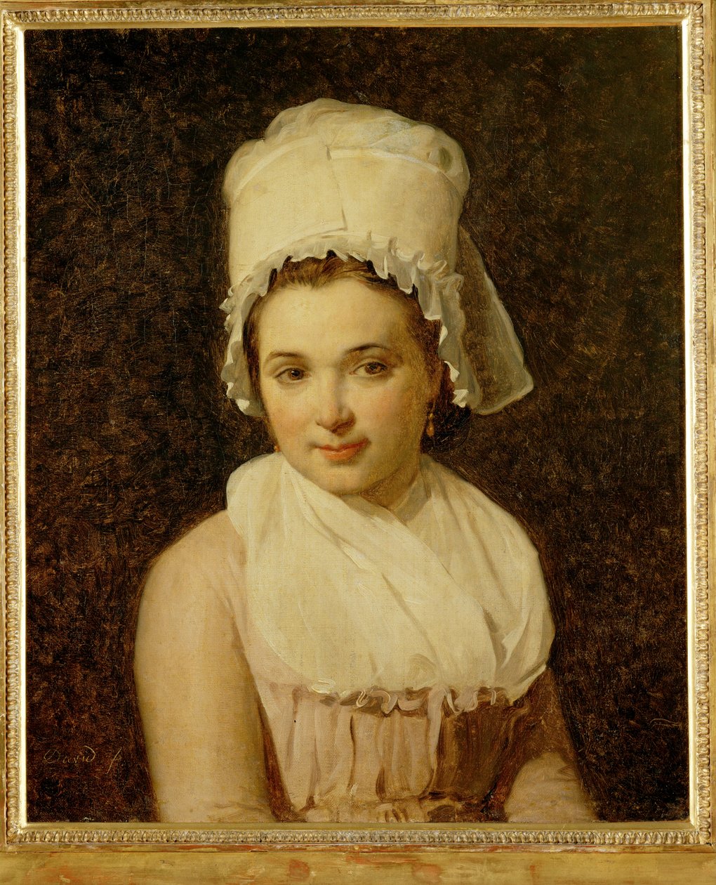 Catherine-Marie-Jeanne Tallard, echtgenote van Francois Lamy, burgemeester van Sougere/Yonne ... door Jacques Louis David