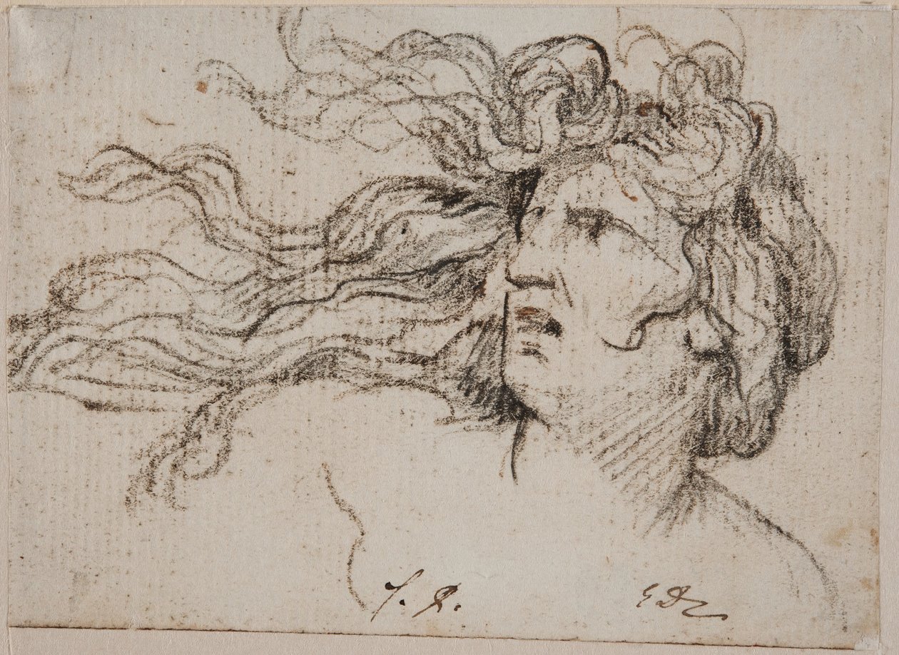 Vrouwenhoofd met golvend haar door Jacques Louis David