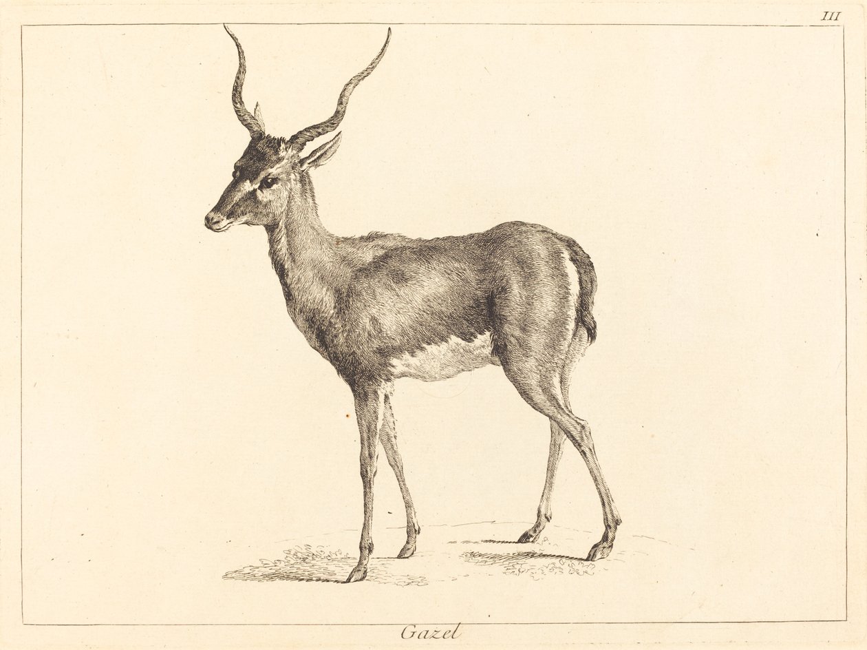 Gazelle door Jacques Philippe Le Bas and Jean Eric Rehn after Jean Baptiste Oudry