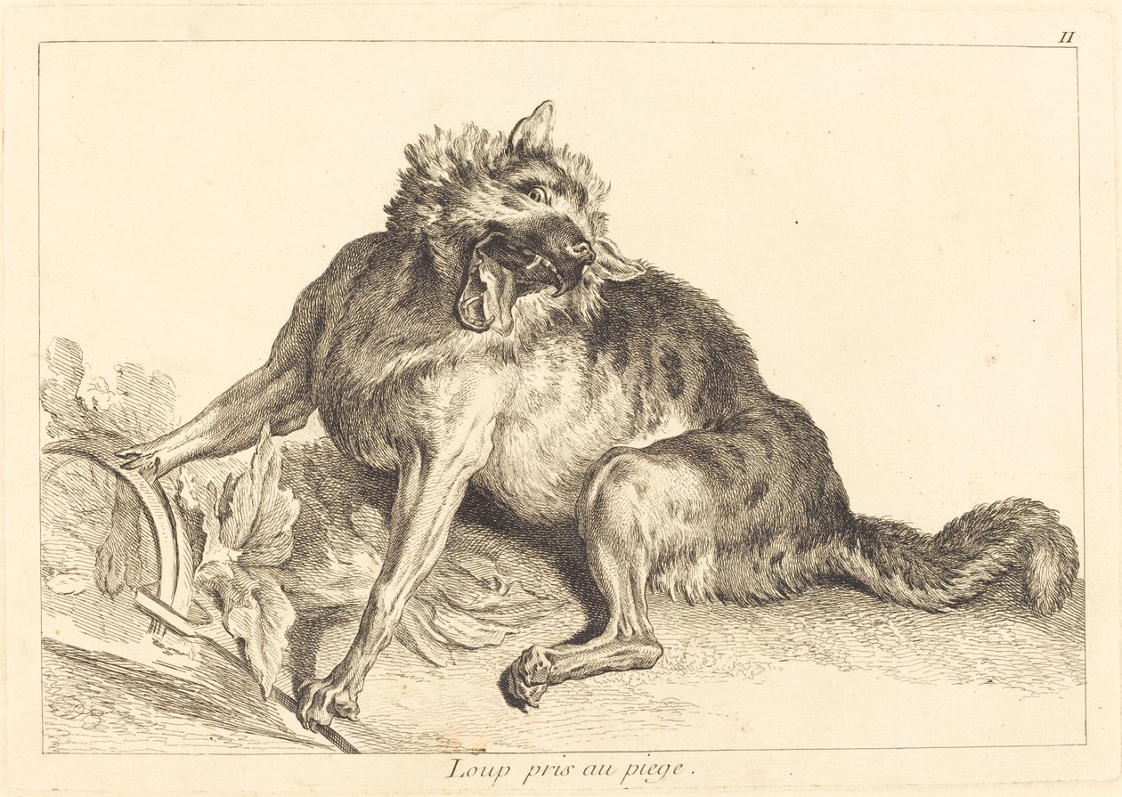 Wolf gevangen in een val door Jacques Philippe Le Bas and Jean Eric Rehn after Jean Baptiste Oudry