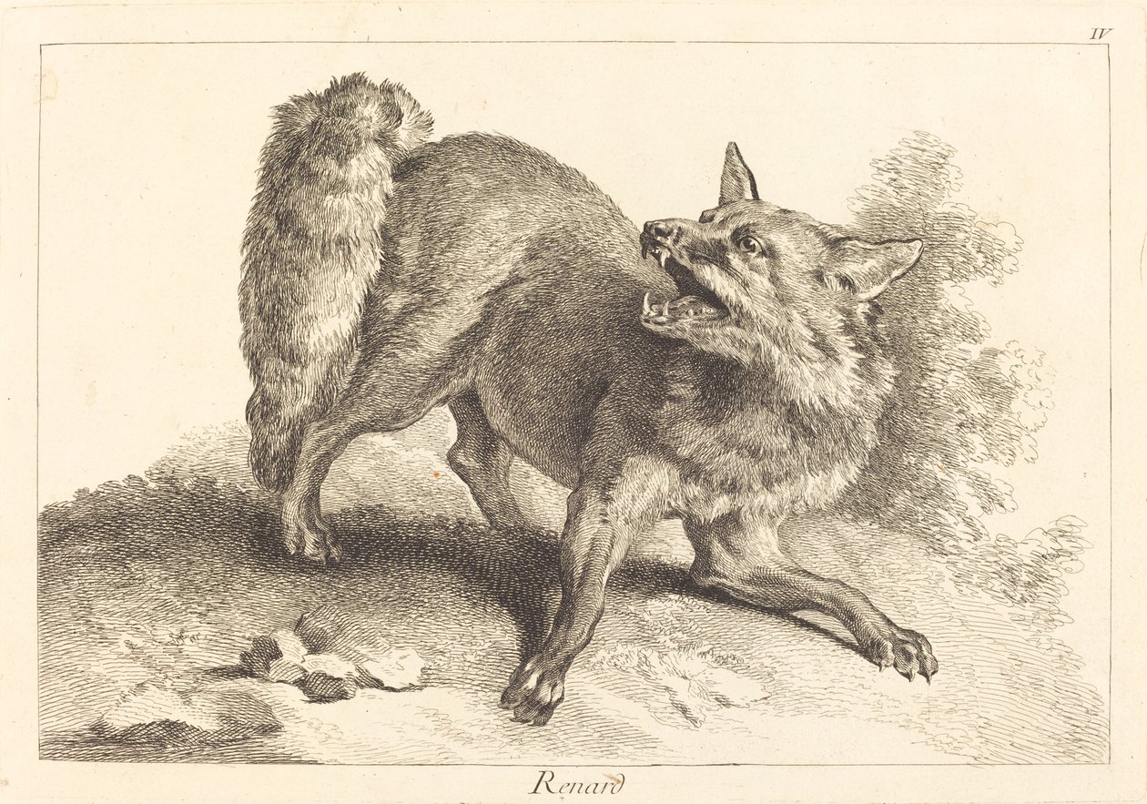 Vos door Jacques Philippe Le Bas and Jean Eric Rehn after Jean Baptiste Oudry