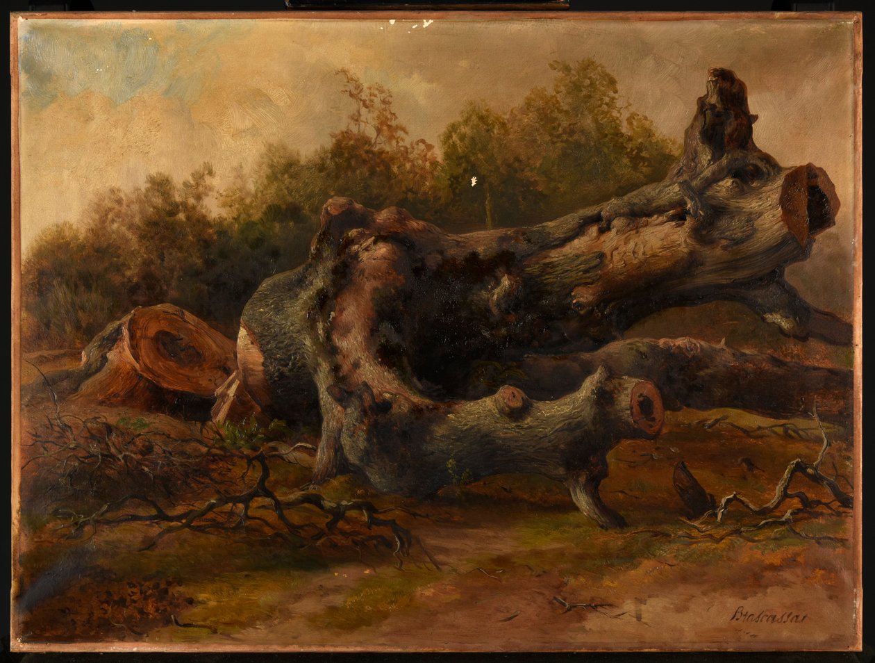 Boom kappen door Jacques Raymond Brascassat