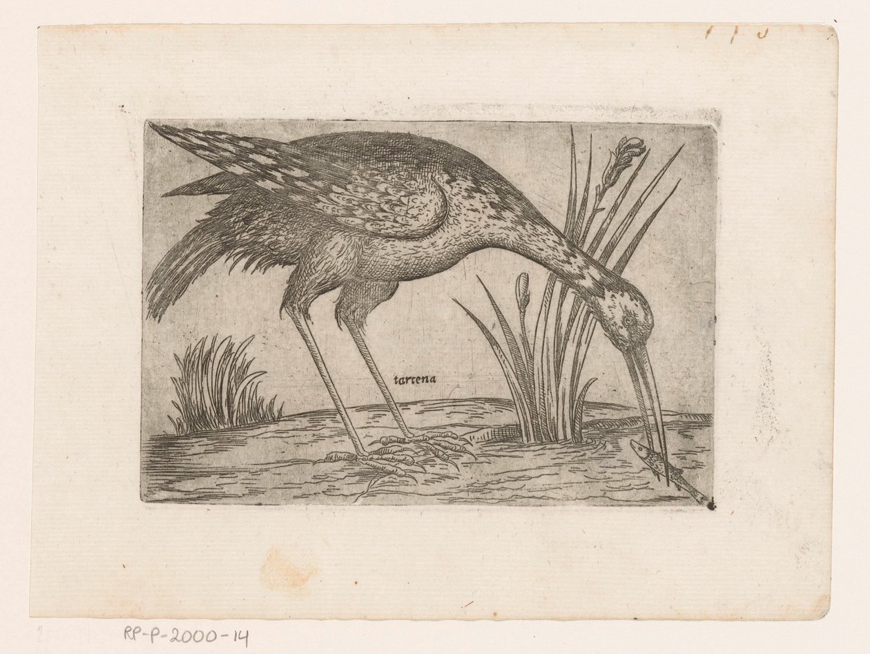 Vogel door Jacques de Fornazeris (possibly)
