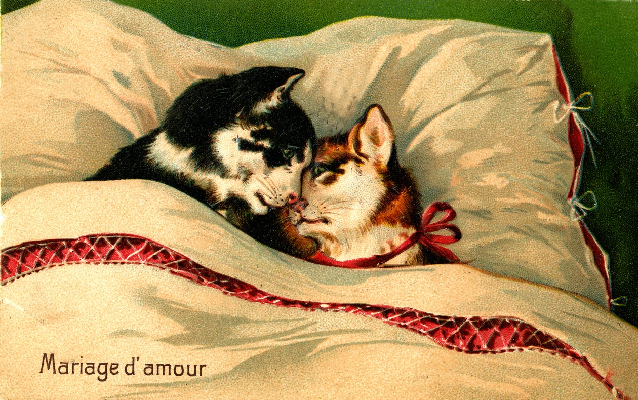 Een bruiloft vol liefde door Jaime Abecasis