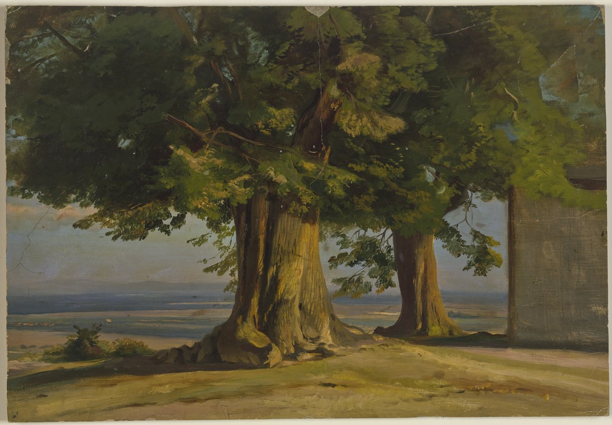 Oude bomen en uitzicht over een wijde vlakte door Jakob Becker