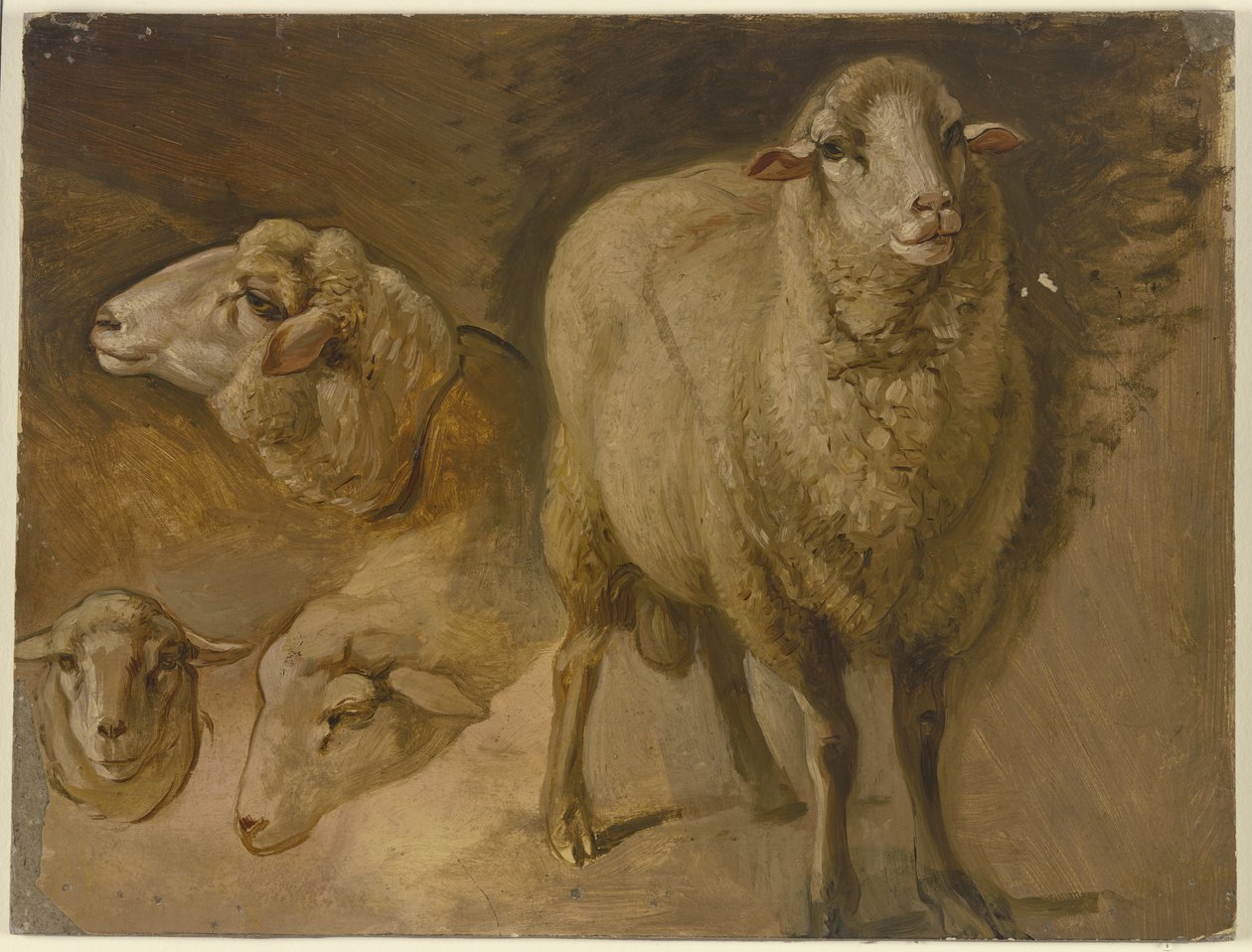 Schapen door Jakob Becker