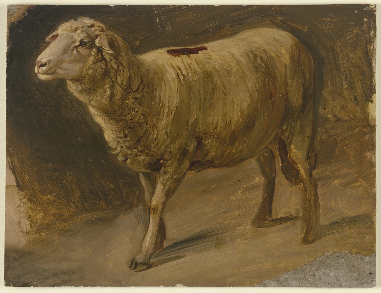 Schapen door Jakob Becker