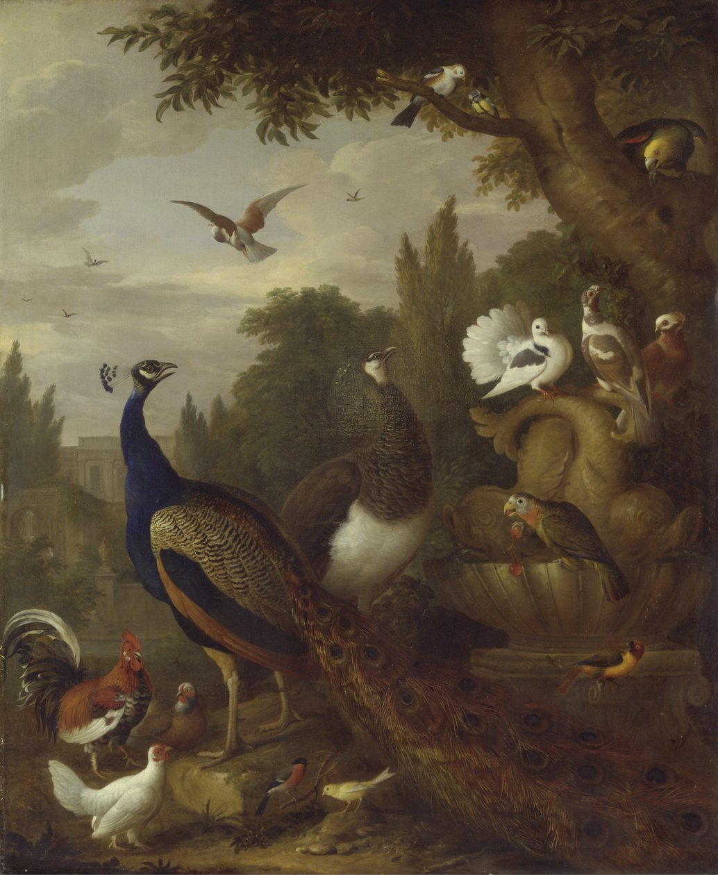 Pauw, pauwhen, papegaaien, kanarie en andere vogels in een park, ca. 1708-10 door Jakob Bogdani or Bogdany