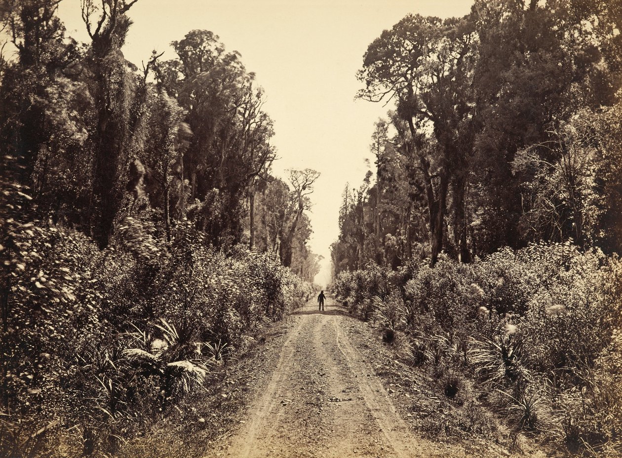 Five Mile Avenue, Forty Mile Bush door James Bragge