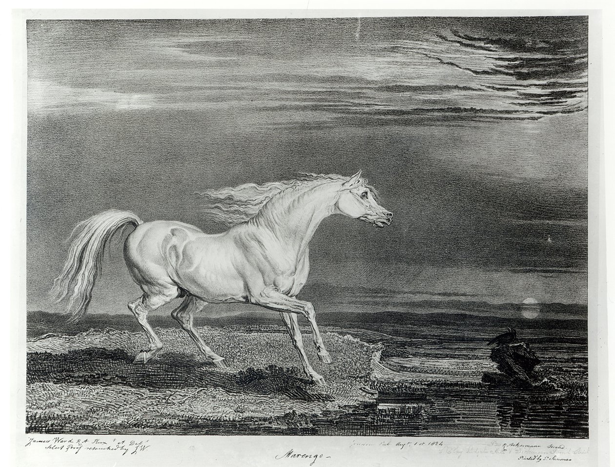 Marengo, gegraveerd door de kunstenaar, uitgegeven door R. Ackermann, 1824 door James Ward