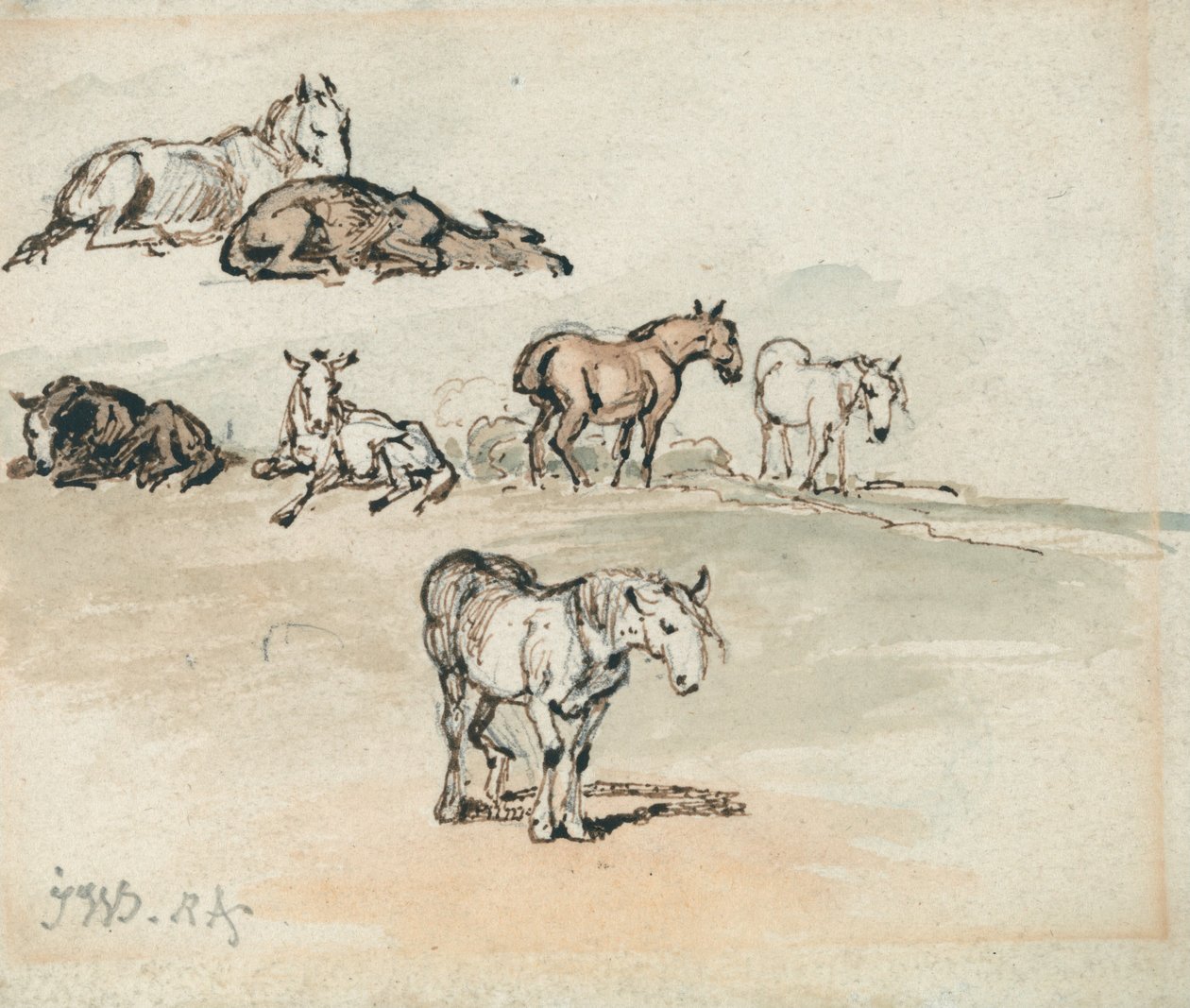 Studies van Paarden door James Ward