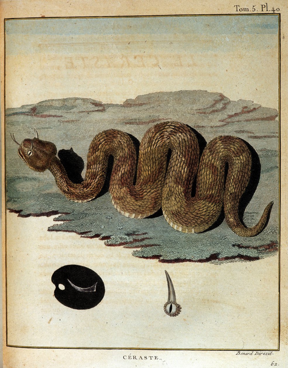 Slang - in "Reis naar Nubië en Abessinië ondernomen om de bronnen van de Nijl te ontdekken tijdens de jaren 1768 tot 1772", door James Bruce, Parijs door James Bruce