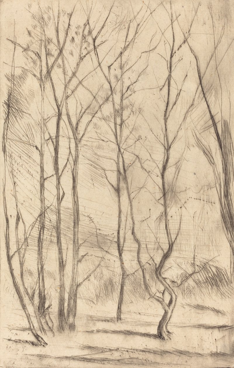 Het Damhout, 1875 door James Abbott McNeill Whistler