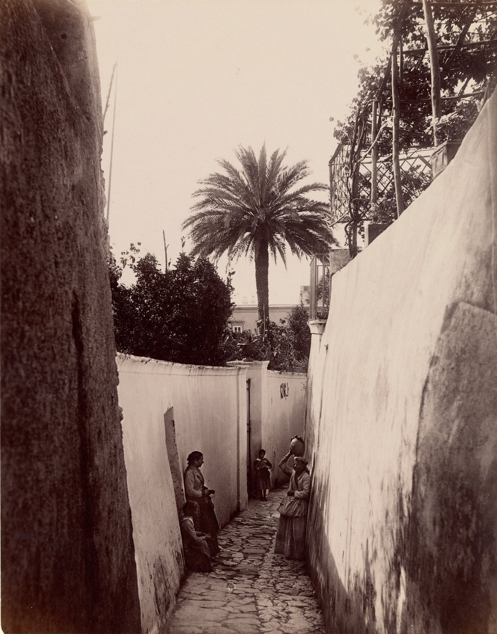Capri door James Anderson