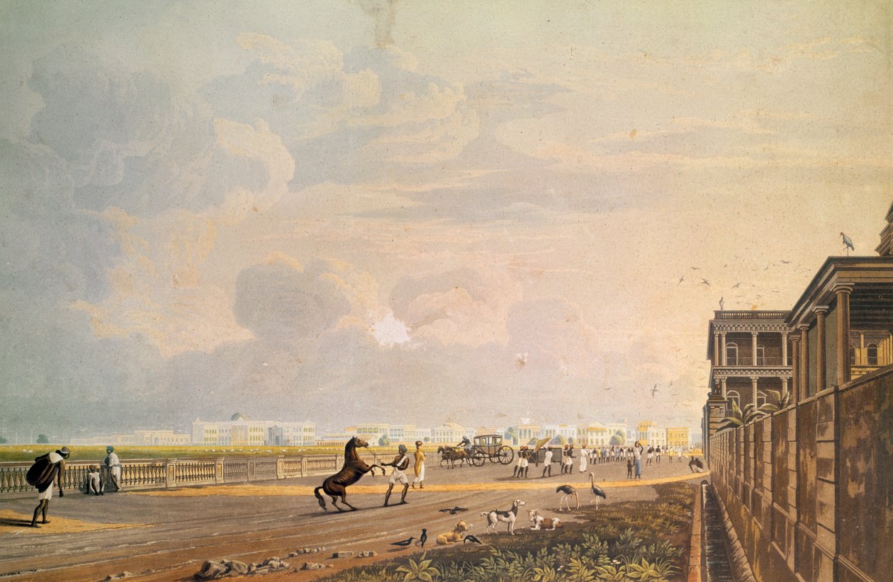 Uitzicht op Esplanade Row vanaf de Chouringhee Road, Calcutta, gegraveerd door Robert Havell, uitgegeven 1824 door James Baillie Fraser