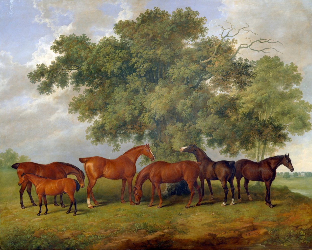De Theobald Stud door James Barenger