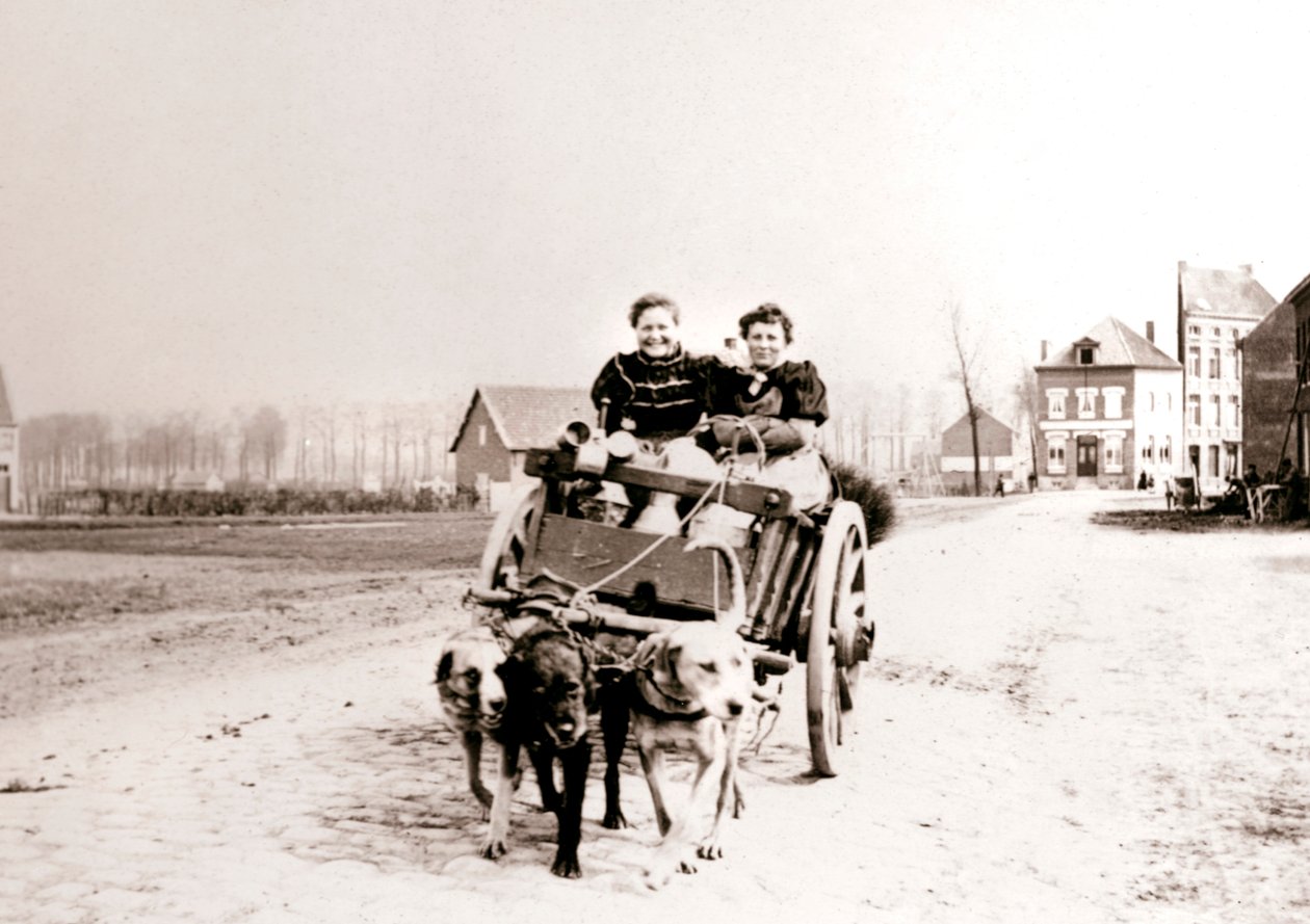 Honden trekken vrouwen op een kar, Antwerpen door James Batkin
