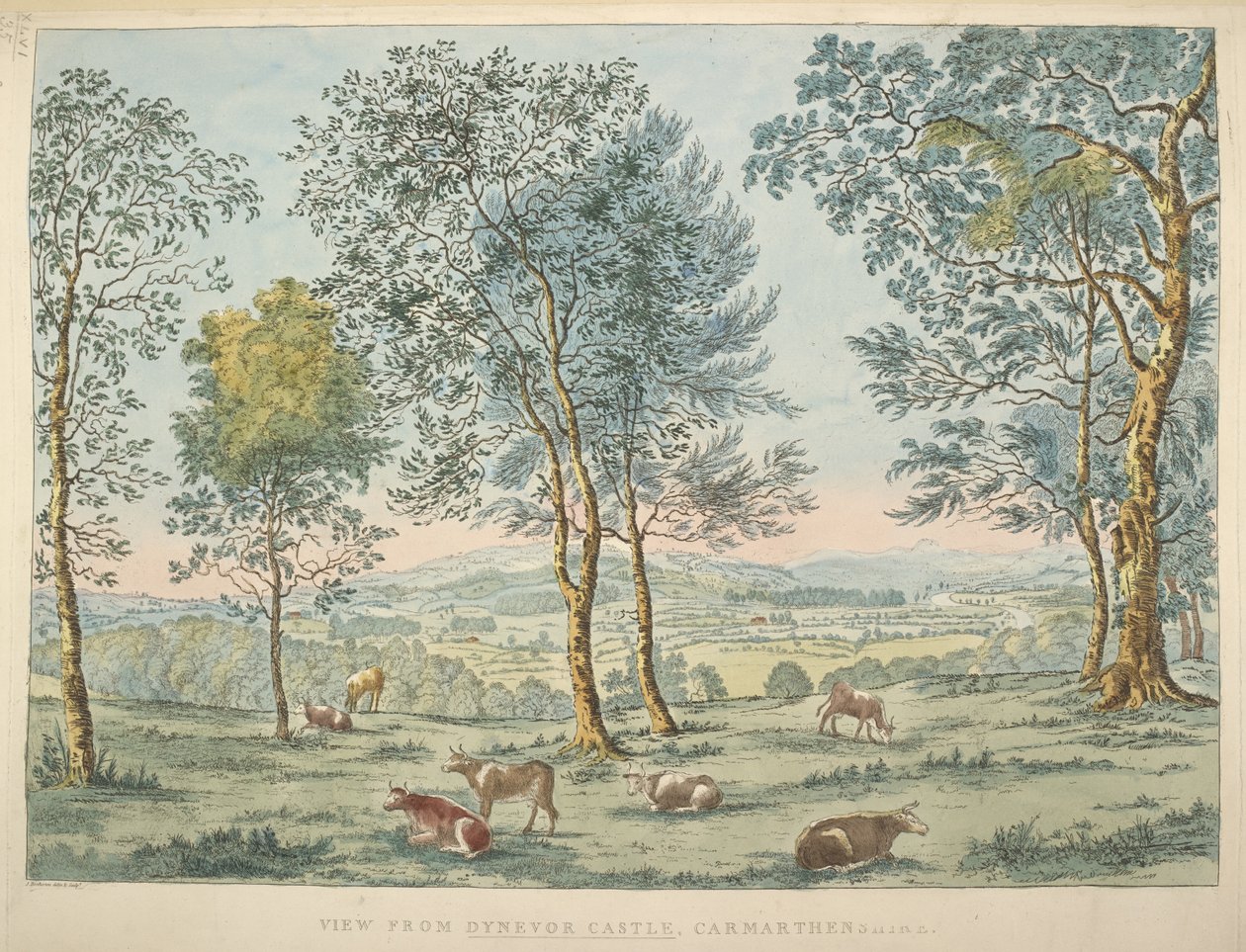 Uitzicht vanaf Dynevor Castle, Carmarthen door James Bretherton