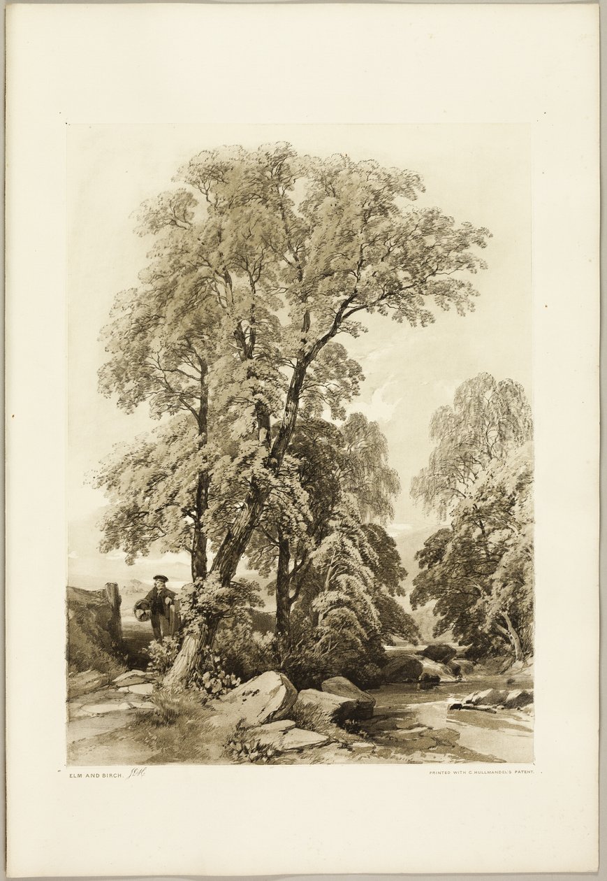 Iep en Berk, uit Het Park en het Bos door James Duffield Harding