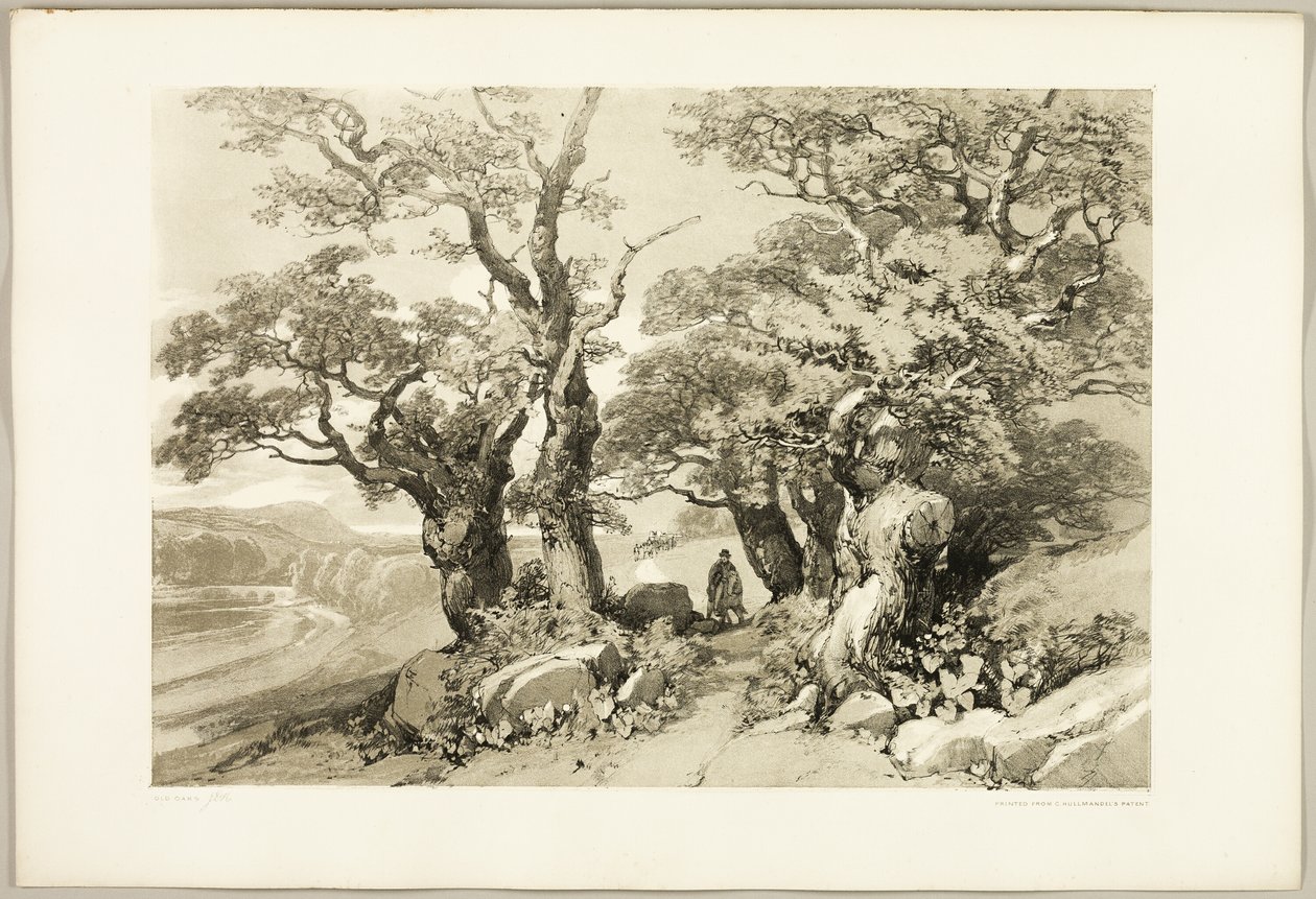 Oude eiken, uit Het park en het bos door James Duffield Harding