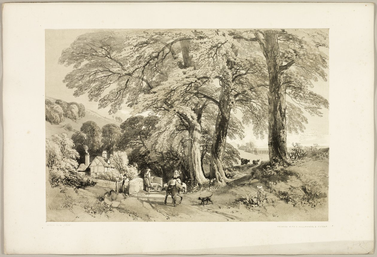 Wych Elm, uit Het park en het bos door James Duffield Harding