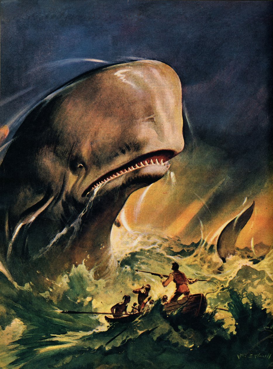 Moby Dick (kleurenlitho) door James Edwin McConnell