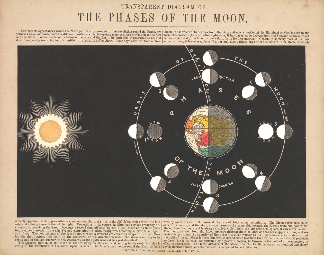 Transparant diagram van de fasen van de maan door James & Emslie John (1813 75) Reynolds