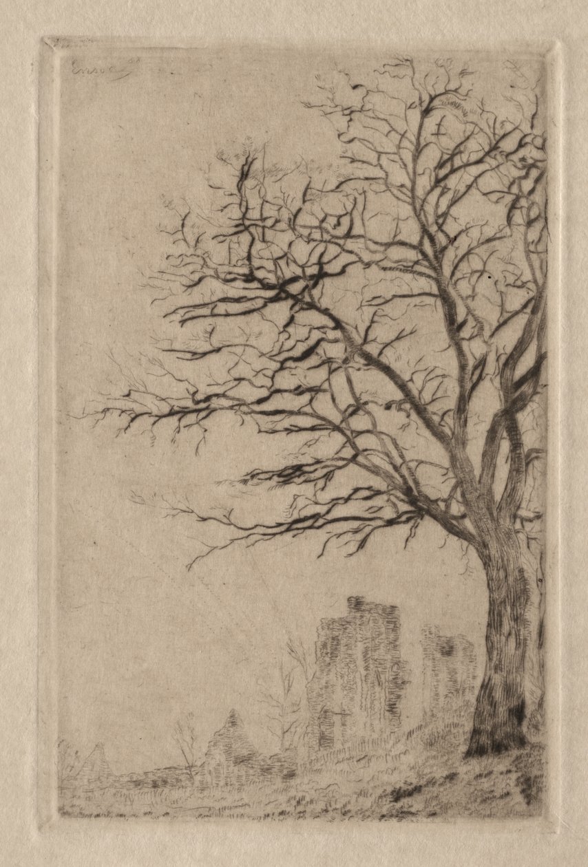 Acacia door James Ensor