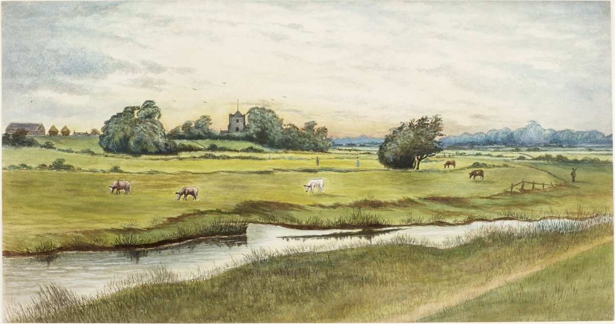 Ryton Meadows door James Henry Cleet