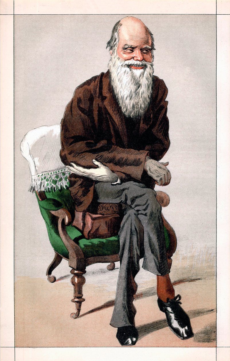 Portret van Charles Darwin door James Jacques Joseph  Tissot