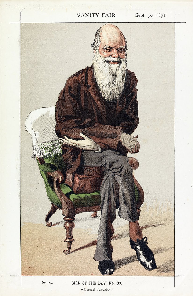 Charles Darwin, Men of the Day, No. 33, Natuurlijke Selectie, uit Vanity Fair, uitgegeven 1871 door James Jacques Joseph Tissot
