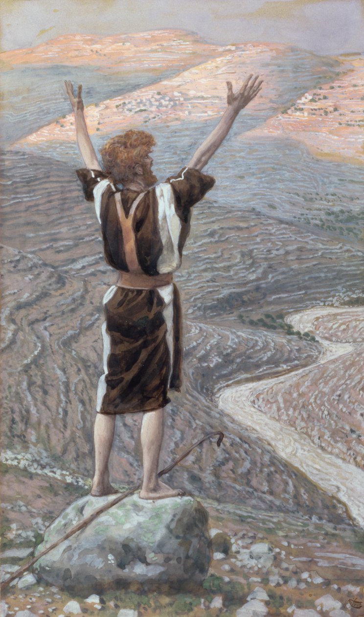 De Stem in de Woestijn, illustratie voor Het Leven van Christus, c.1886-96 door James Jacques Joseph Tissot