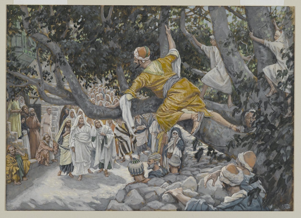 Zacheüs in de vijgenboom wachtend op de komst van Jezus door James Jacques Joseph Tissot